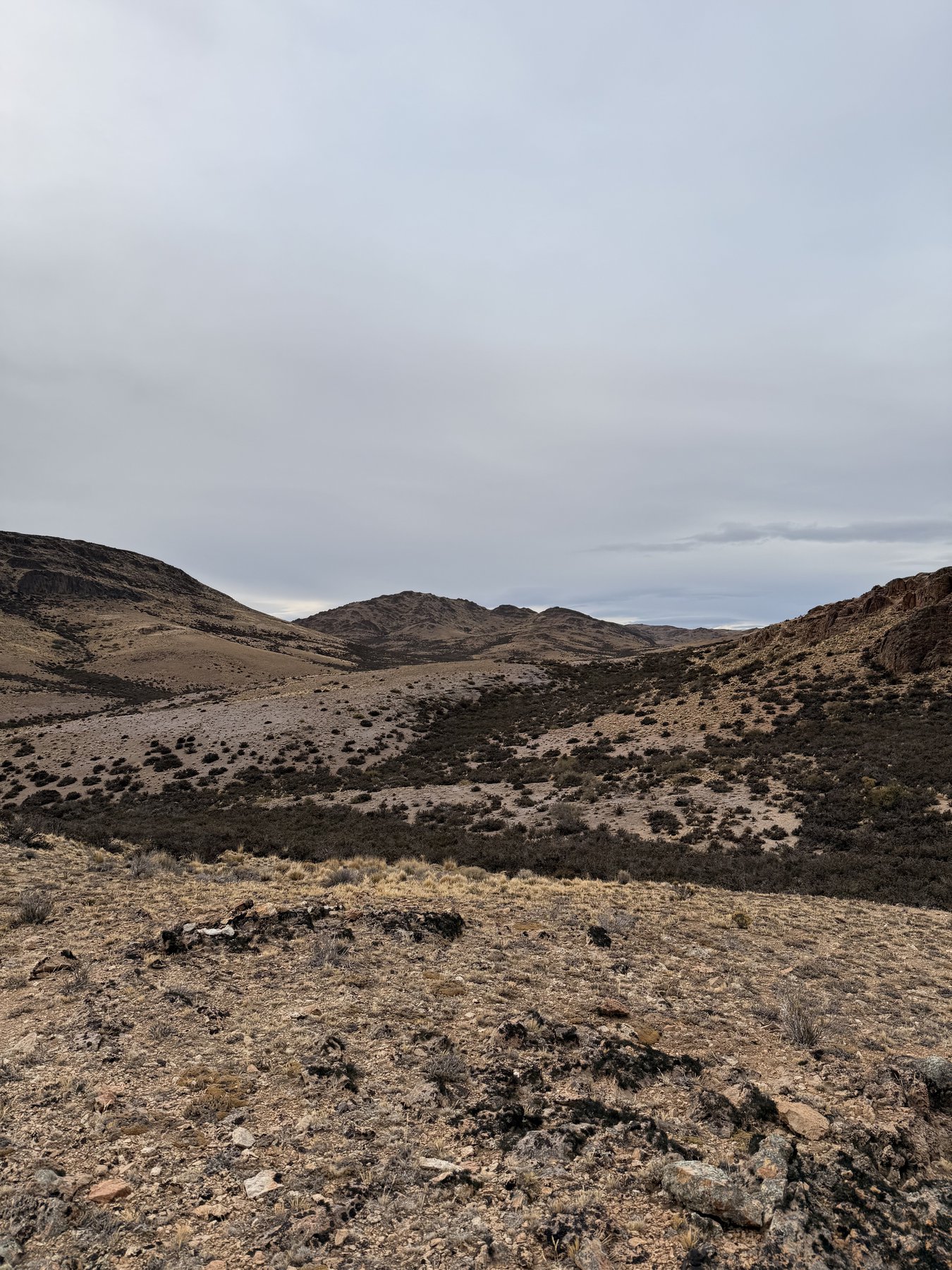 Hills and ridgelines across the Don Adamo property